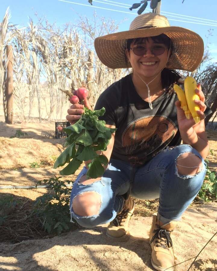 mujer con cosecha de rabanos y calabaza