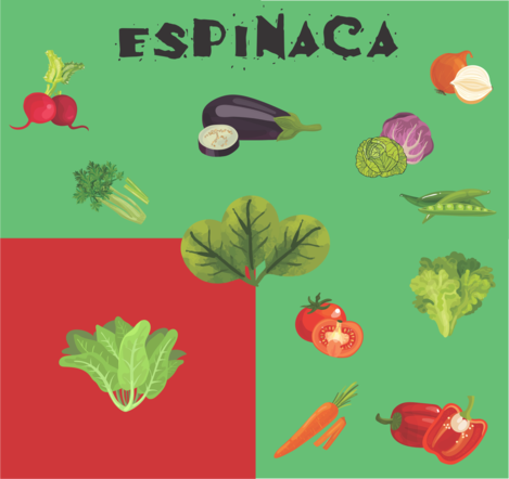 tarjeta compatibilidad espinaca