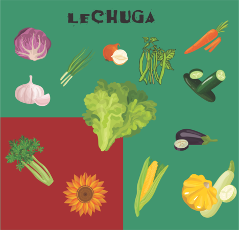 tarjeta compatibilidad lechuga