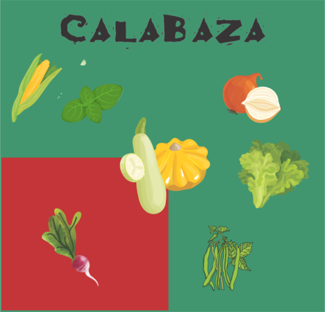 tarjeta compatibilidad calabaza